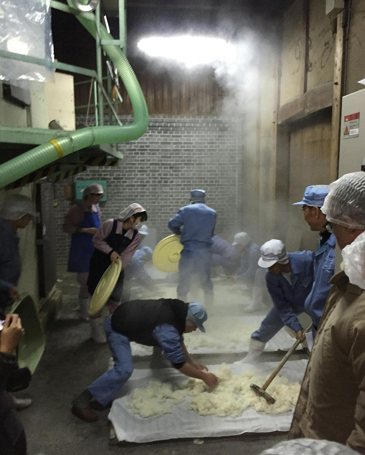 Next, workers cool rice to be seeded with the necessary mold, at which point it's called koji.