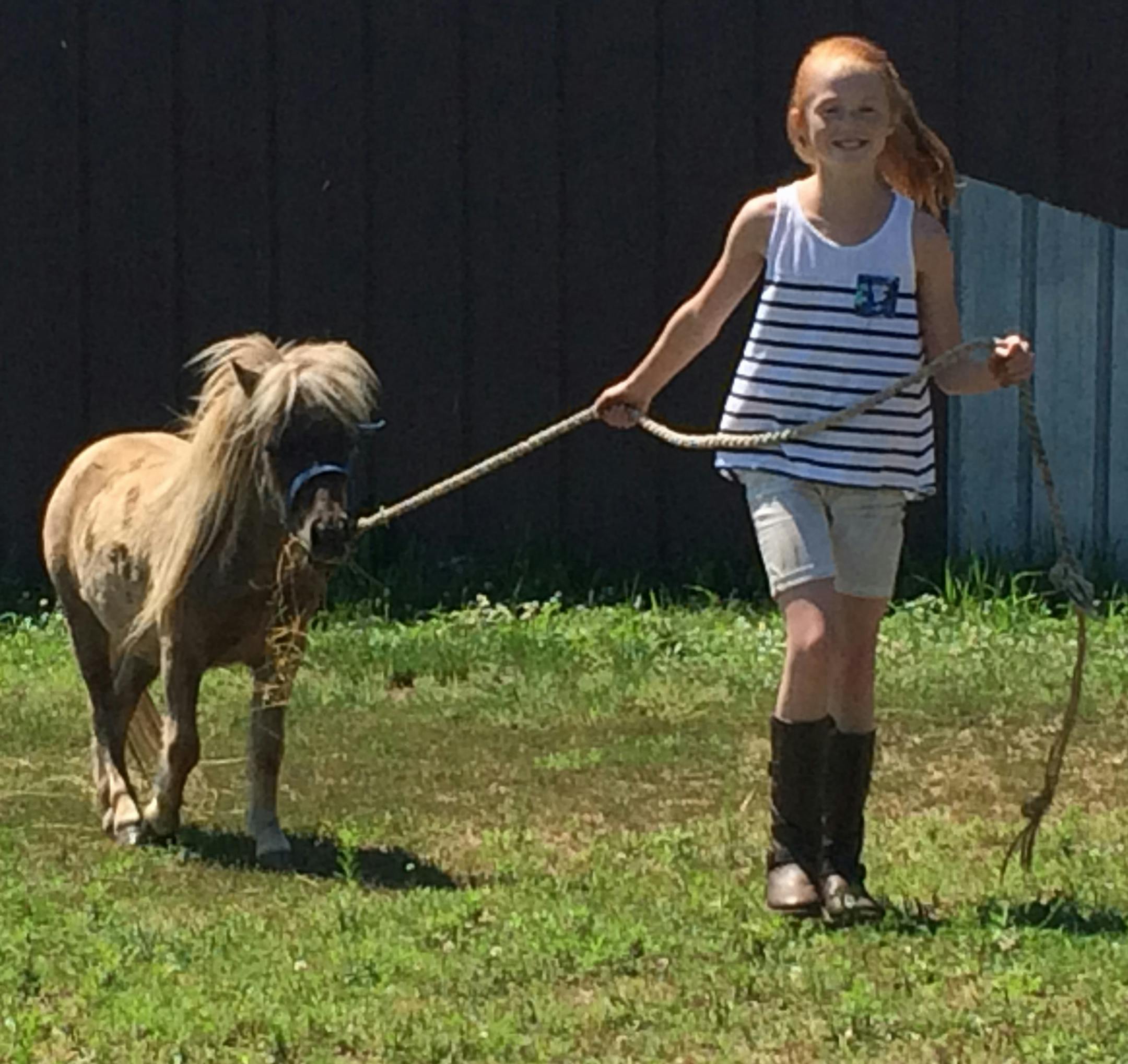 Veda Link walks with Smoke, a 3-year-old miniature horse, at Buckon Ranch in Clearlake that she hopes to someday take home with her. Veda's mother, Nancy, received approval Monday from the Chanhassen City Council for an interim use permit that would allow her to bring Smoke home.