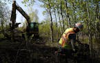 In May, Eric Olson and contractor Robert Radotich, in the backhoe, did soil work at Polymet's proposed copper-nickel mine near Hoyt Lakes, Minn.