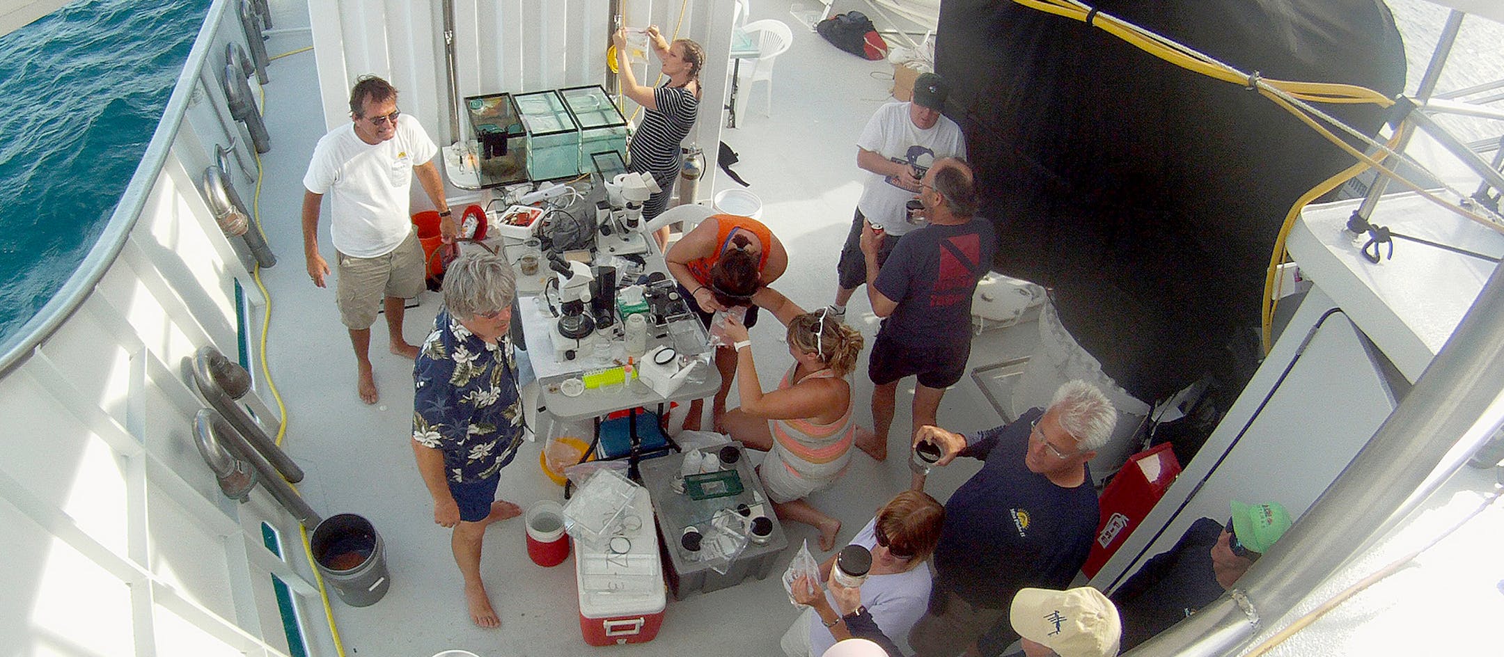 This March 30, 2014, photo shows University of Florida researchers working with invertebrate species caught in the Gulf Stream off the coast of Florida and headed for a unique shipboard laboratory where the scientists are studying the animals' genetics in real time. (AP Photo/Suzette Laboy) ORG XMIT: WX511