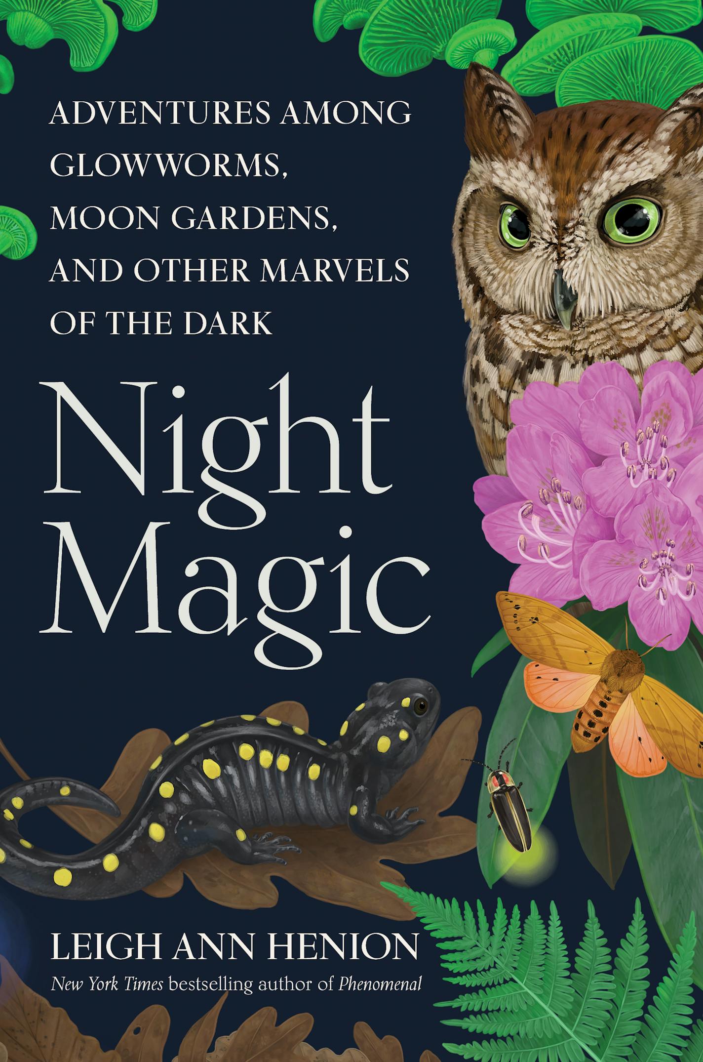 Night Magic cover is an illustration, on a black background, of an owl, butterfly, lizard and plant