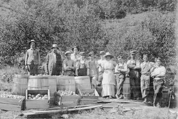 Anna Underwood, fifth from right, with her crew at her fruit orchard in Lake City, about 1885. 