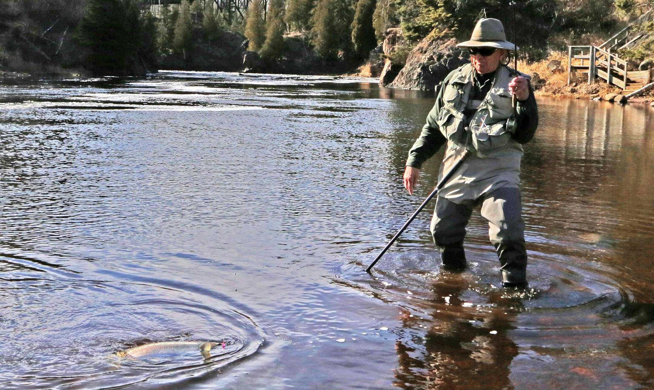 Dave Zentner of Duluth struggles with a steelhead while fishing up the North Shore last week. The Knife River has been fishing pretty well, but steelhead action up the Shore is just getting going.