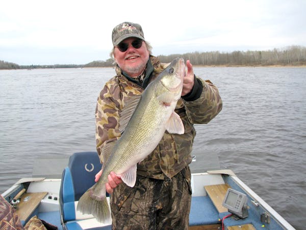 Minnesota’s Northwest Region fisheries supervisor, Henry Drewes, is retiring after a 35-year career at the DNR. Here he is with a trophy-sized walle