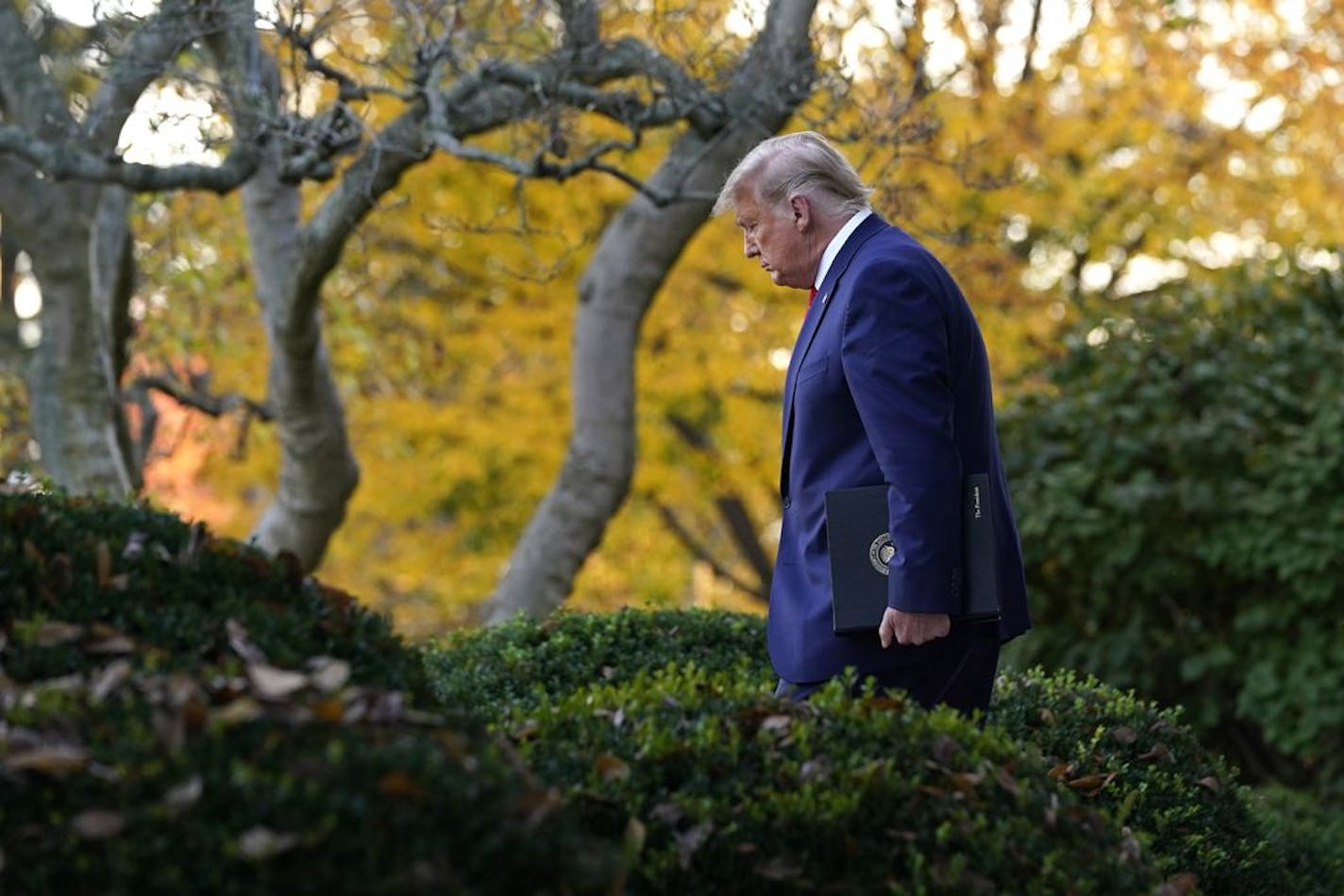 President Donald Trump arrives to speak in the Rose Garden of the White House, Friday, Nov. 13, 2020, in Washington.