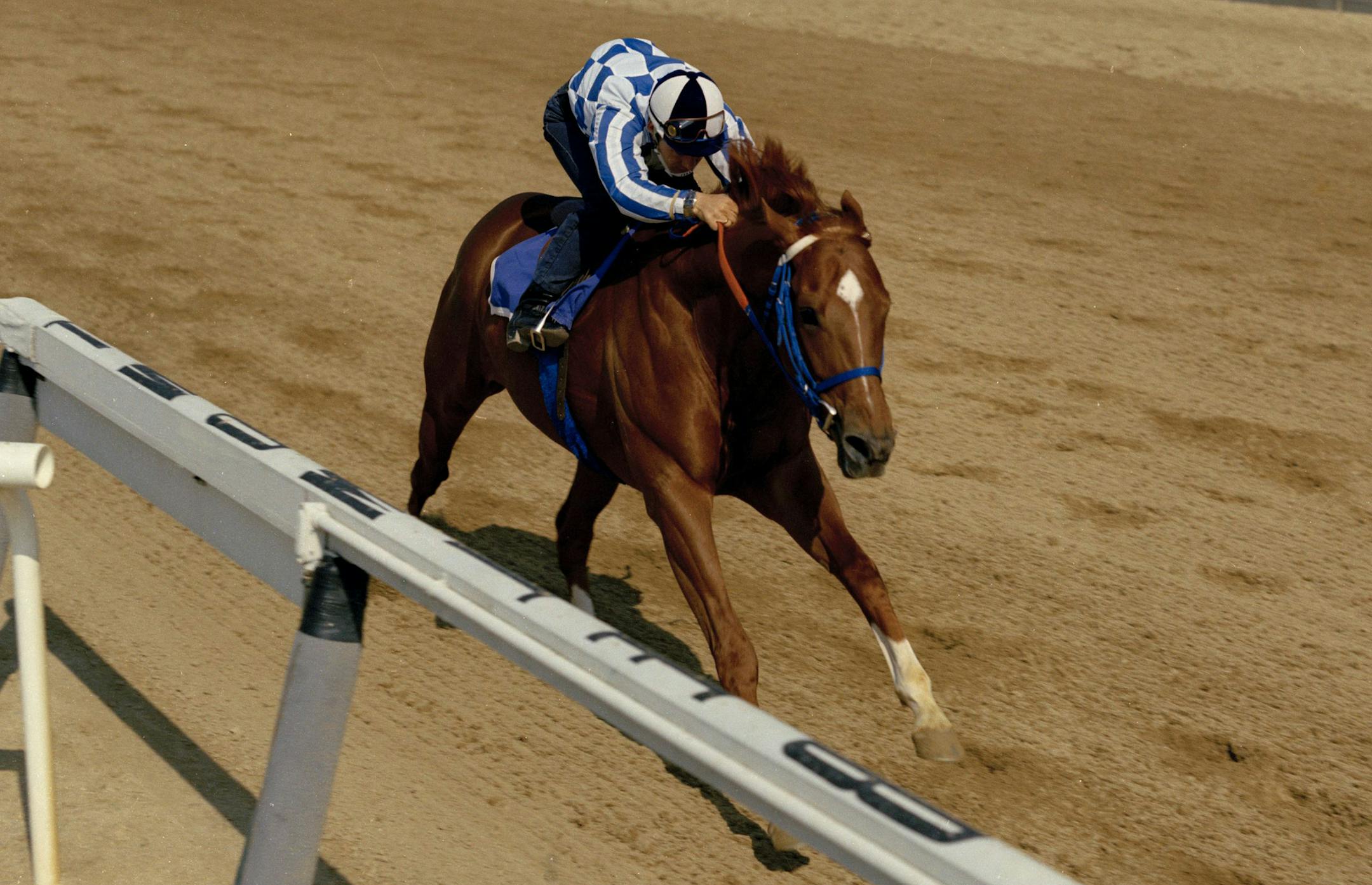Secretariat, shown winning at Belmont in 1973 with Ron Turcotte riding, holds all three Triple Crown marks.
