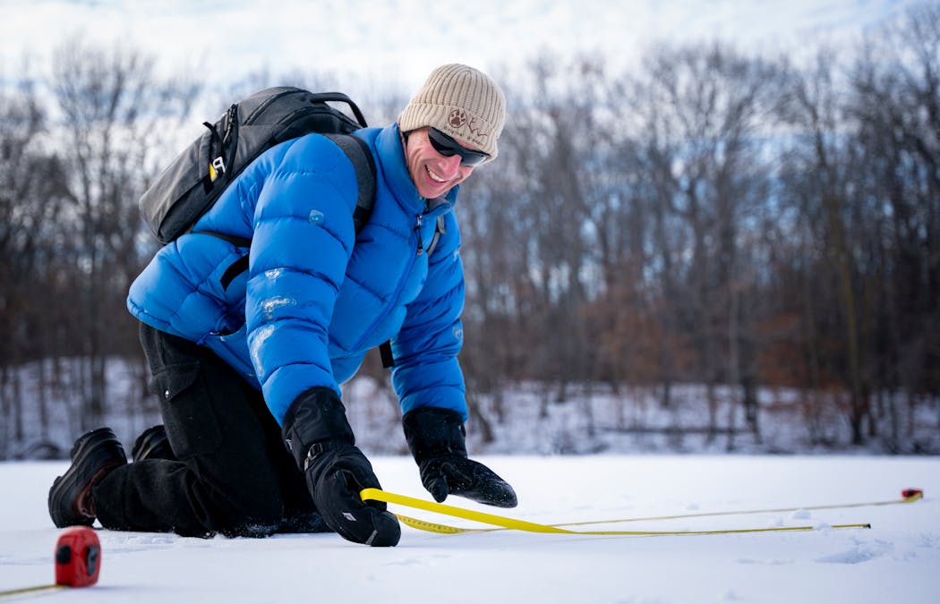 Jonathan Poppele, the founder of the Minnesota Wildlife Tracking Project, measures the length of deer trot tracks for his ongoing research project on animal movement on the lake at Elm Creek Regional Park.