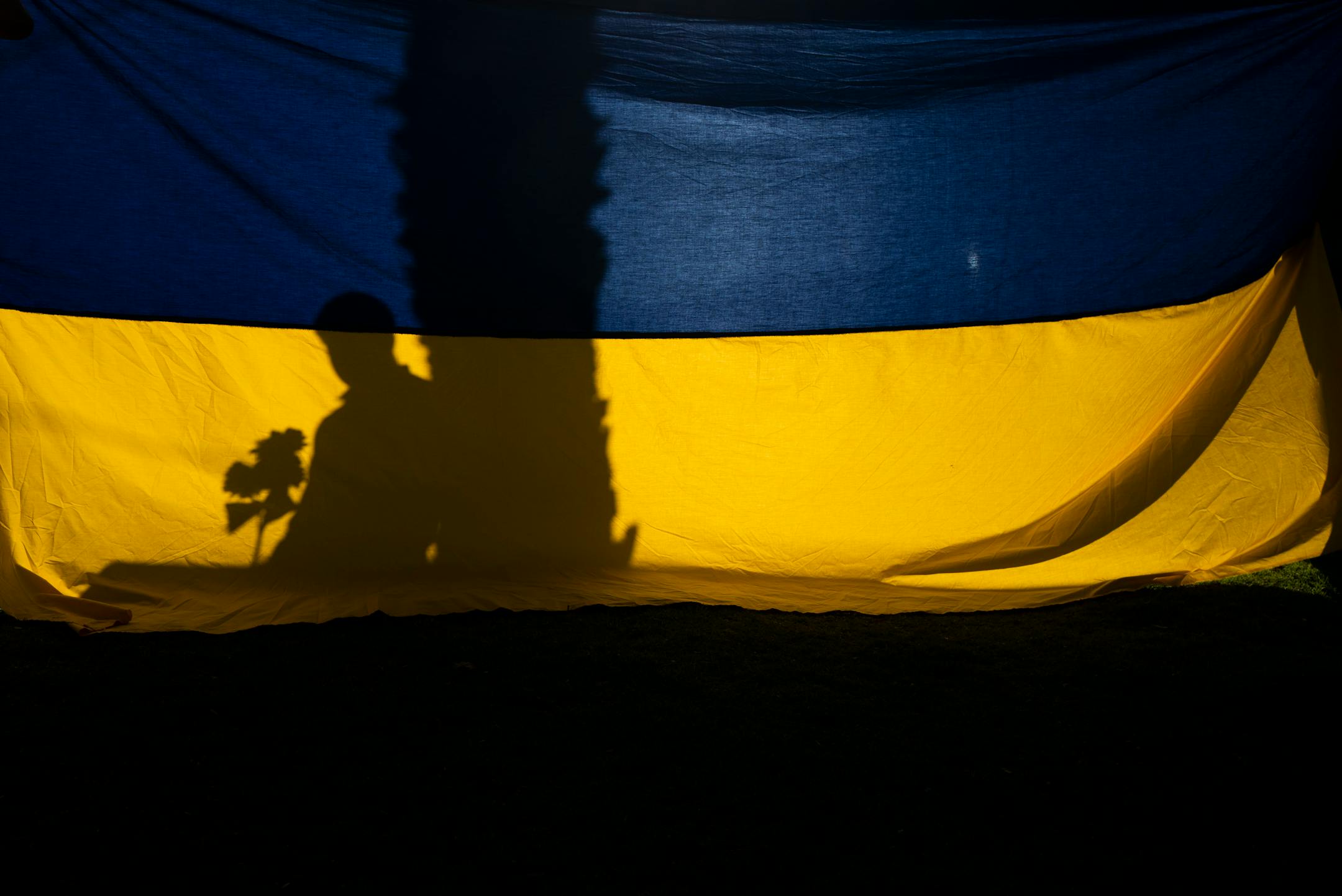 A man holding sunflowers casts a shadow on a Ukrainian flag during a rally held to show support for Ukraine in Los Angeles, Friday, March 11, 2022. (AP Photo/Jae C. Hong)