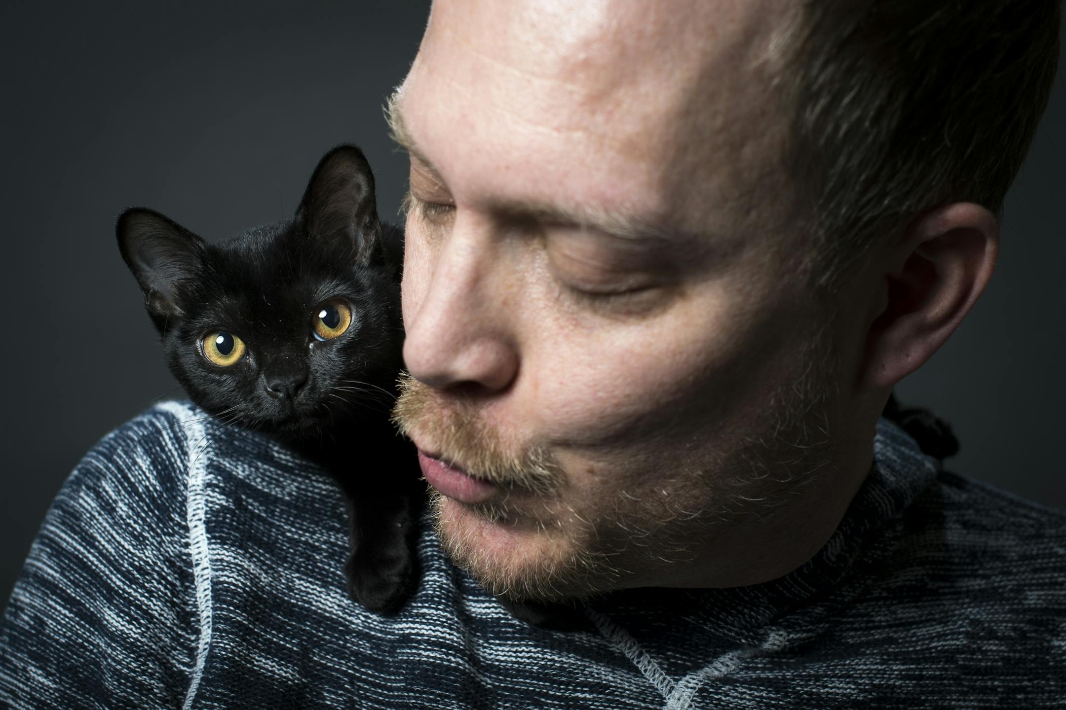 Atomic Kitten, a 4-month-old Burmese, is perched on the shoulder of owner Brian Tripp on Thursday night.
