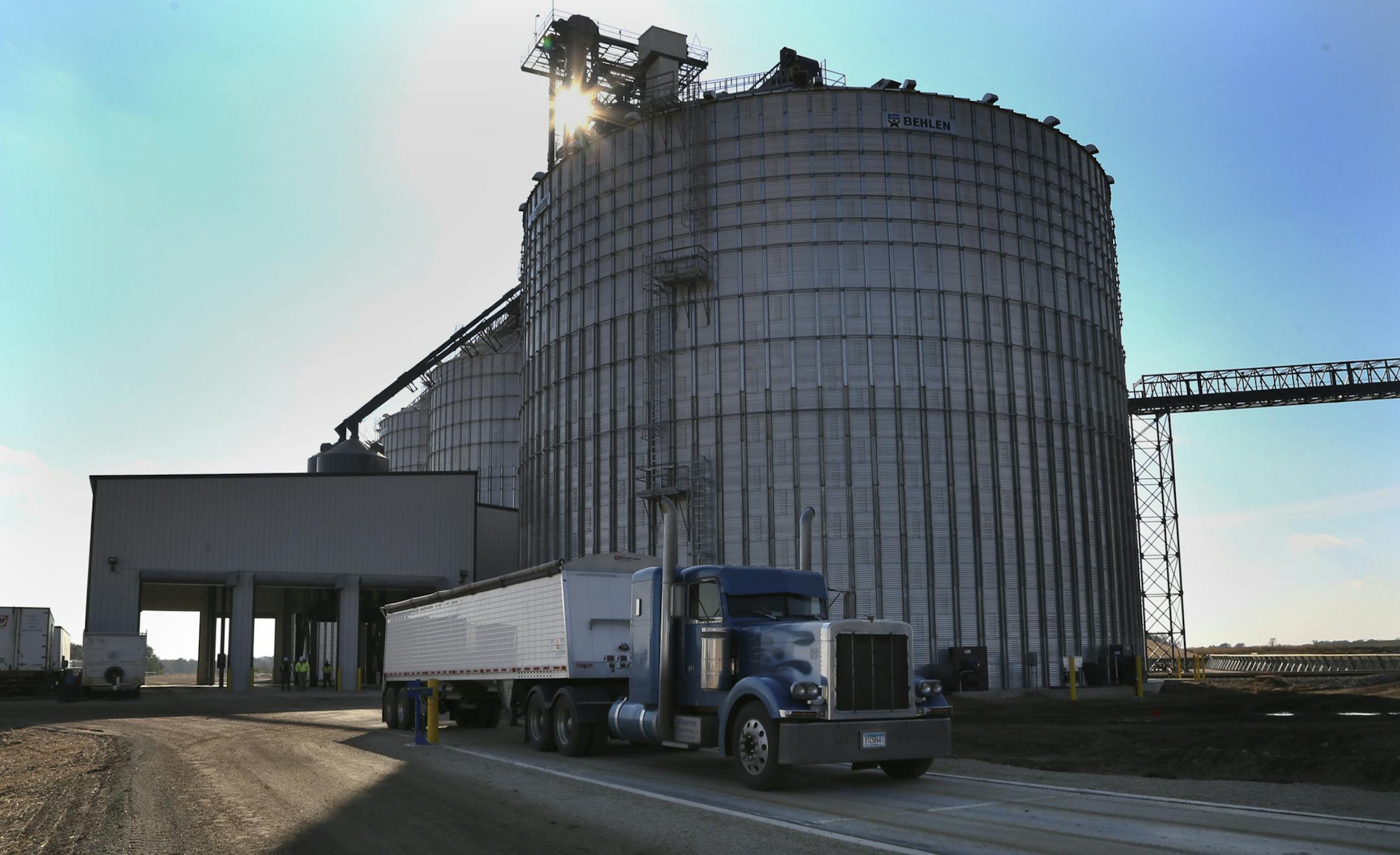 After emptying his load grain hauler Josh Peine of Peine Trucking in Hampton drives off Friday, Nov. 1, 2013, at Interstate Mills in Randolph, MN.](DAVID JOLES/STARTRIBUNE) djoles@startribune.com With late and wet corn harvest, propane shortage hits farm country. Southwest and western Minnesota feel it the worst. Some grain elevavators have shut down corn drying due to propane shortage. The problem: a concentrated corn harvest this year due to a late planting and late frost, combined with propan