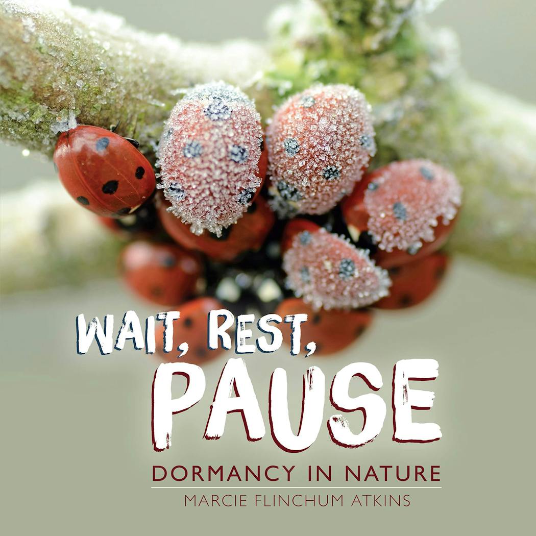 “Wait, Rest, Pause”