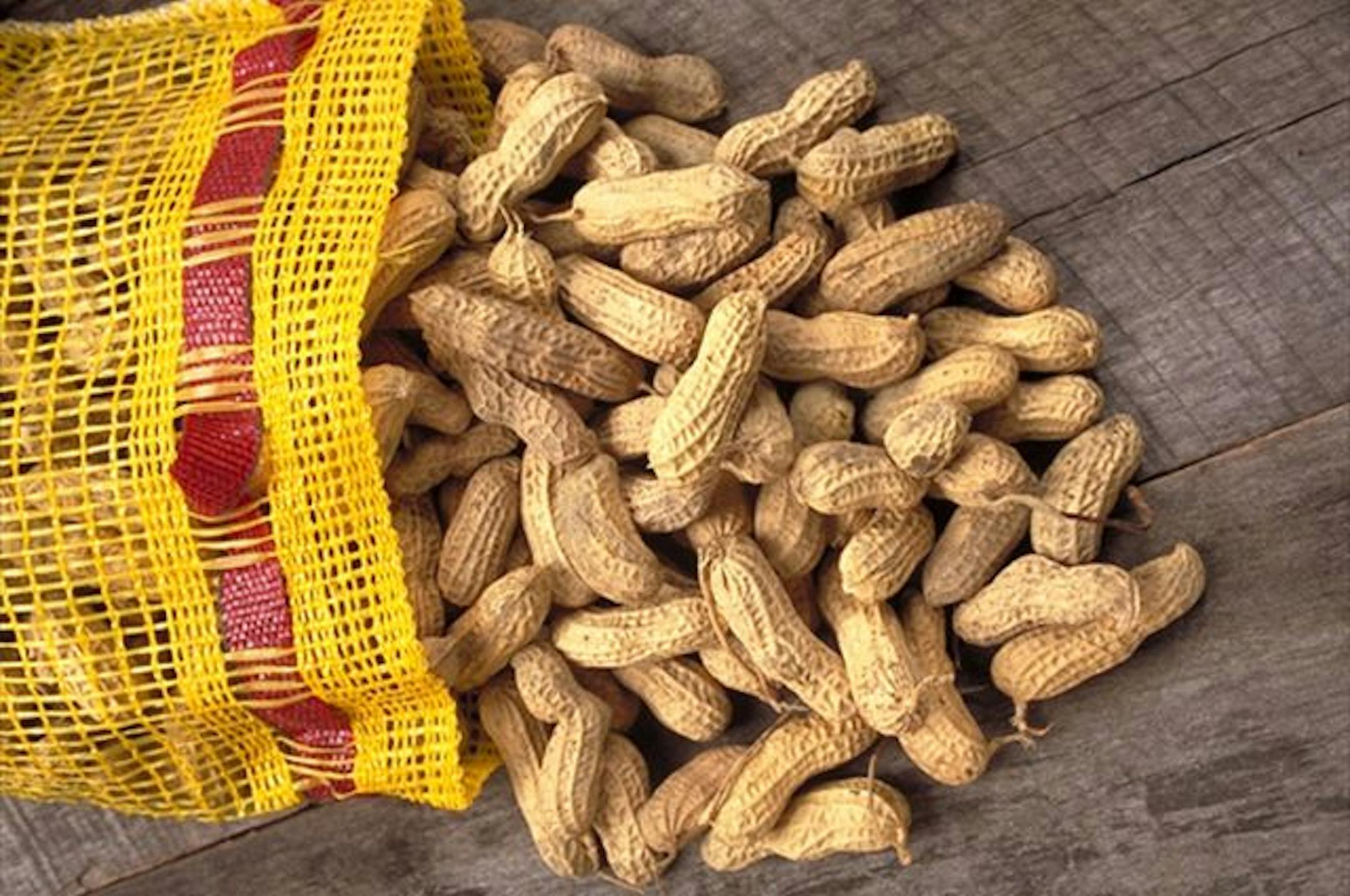 This undated file photo released by the U.S. Dept. of Agriculture shows a bag of peanuts. Sussing out hidden peanuts is old hat to people living with food allergies. But a massive salmonella-triggered recall of foods that might contain contaminated peanuts suddenly has the whole nation looking askance at foods once noshed with abandon.