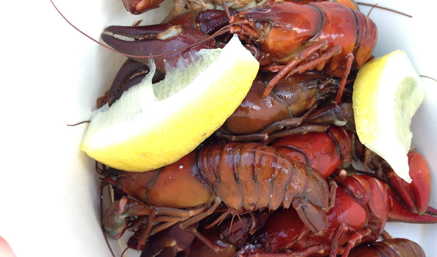 Lee Svitak Dean, Star Tribune Crayfish at the Bachelor Farmer's annual Kraftskiva.