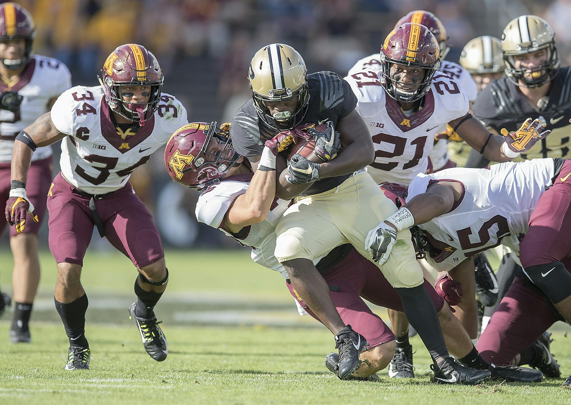 Minnesota's defensive back Antonio Shenault, from left, Blake Cashman, Kamal Martin and Everett Williams stopped Purdue's running back D.J. Knox during the first quarter the Gophers took on Purdue at Ross-Ade Stadium, Saturday, October 7, 2017 in West Lafayette, IN.