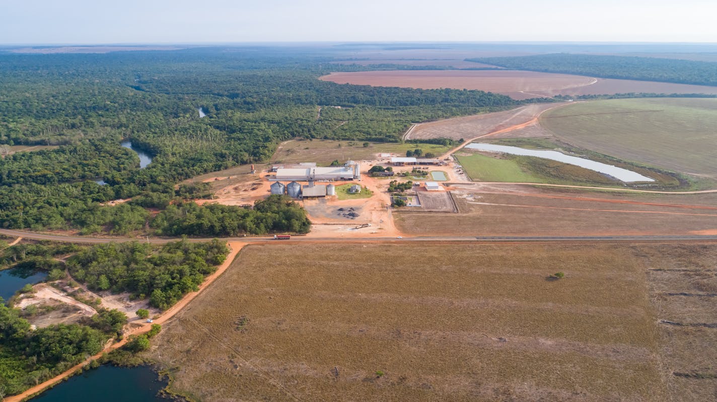 Drone photography of endangered typical landscape with lagoon, rainforest and palm trees