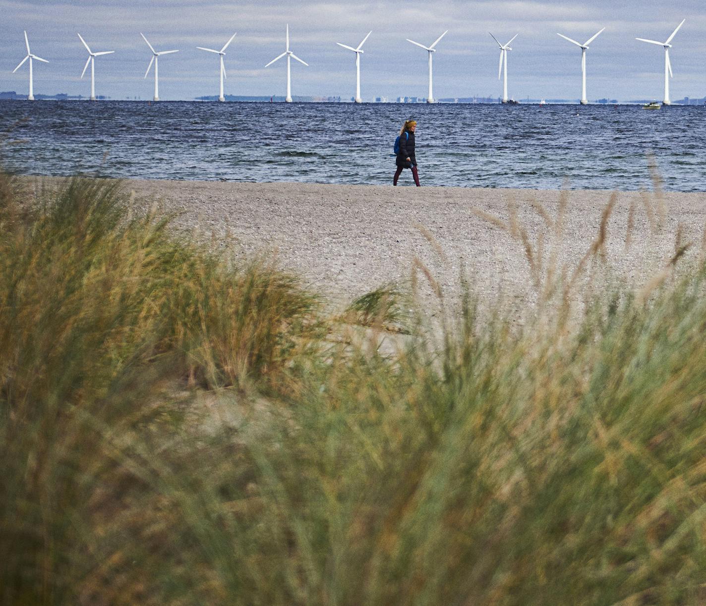 Denmark has invested heavily in wind energy, and for the first time this fall, wind turbines generated enough power for the whole country's electricity demands for a full 24 hours. MUST CREDIT: Photo by Ulf Svane for The Washington Post.