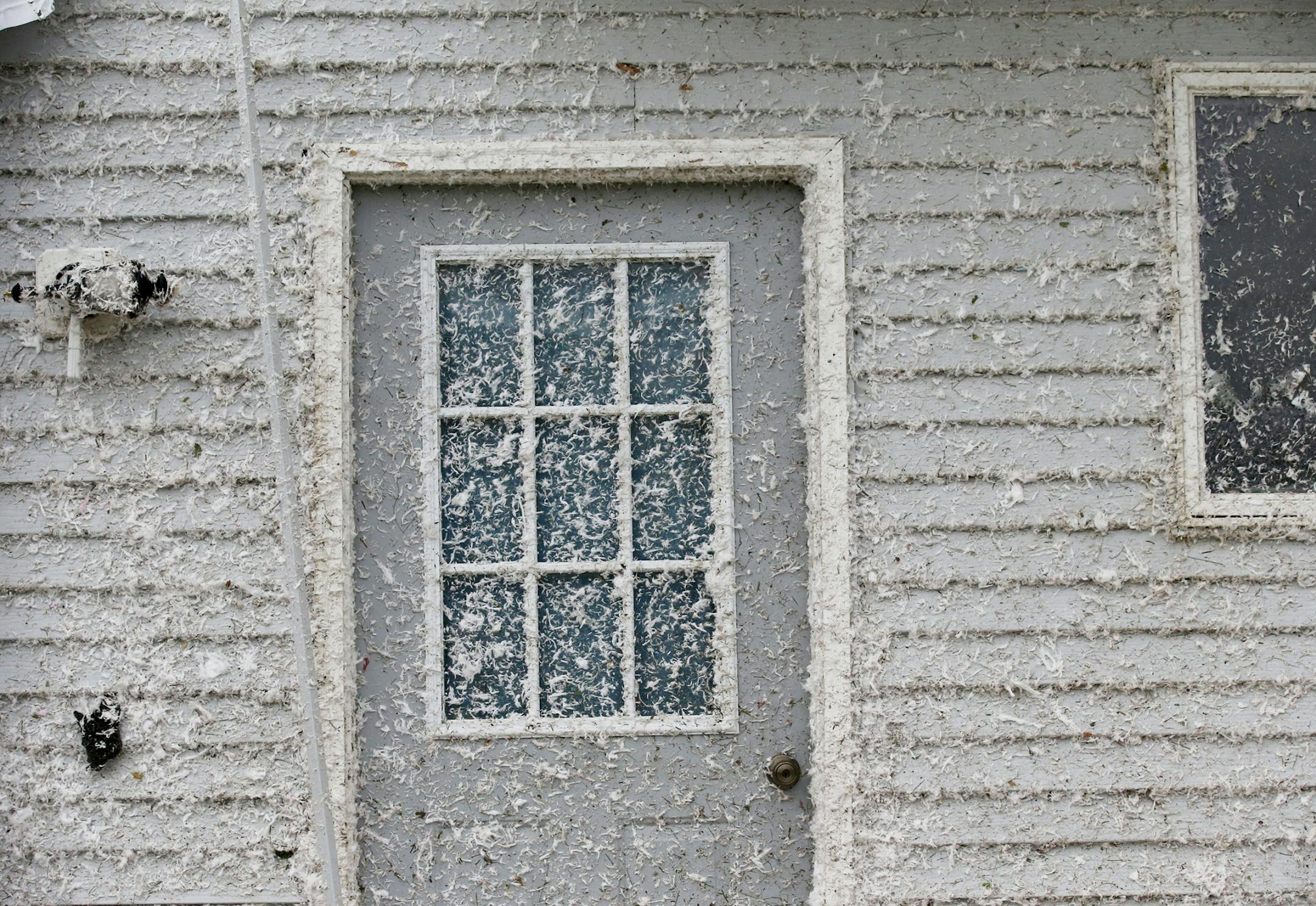 A number of homes in the southeast side of Morristown were heavily damaged during severe storms Thursday evening and seen as insulation blown by the storm stuck to the side of a house Friday, Sept. 21, 2018, in Morristown, MN.