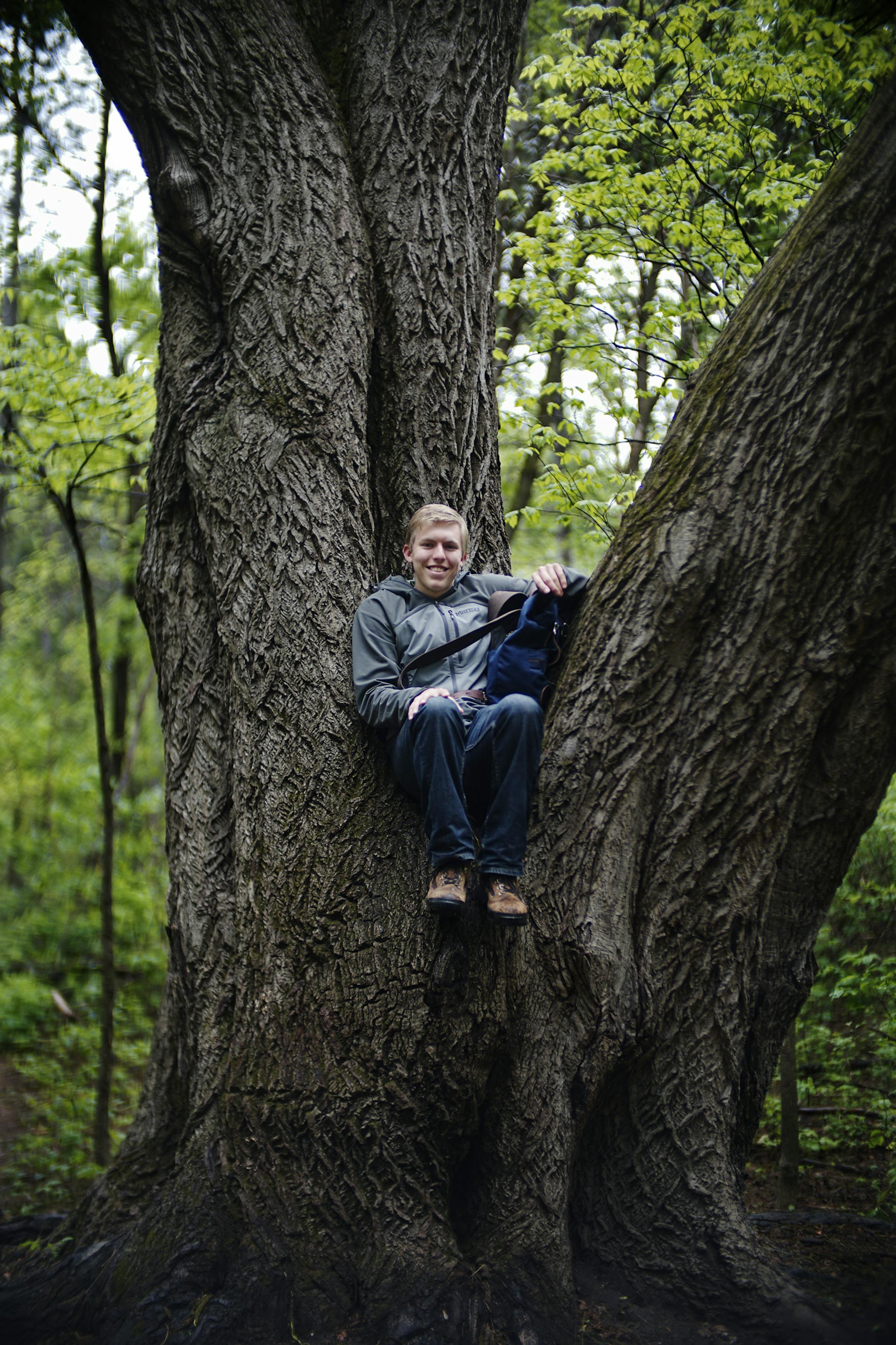 Big tree hunter Riley Smith shows off a giant butternut tree in the walnut family at Reservoir Wood Park.] Richard Tsong-Taatarii/rtsong-taatarii@startribune.com