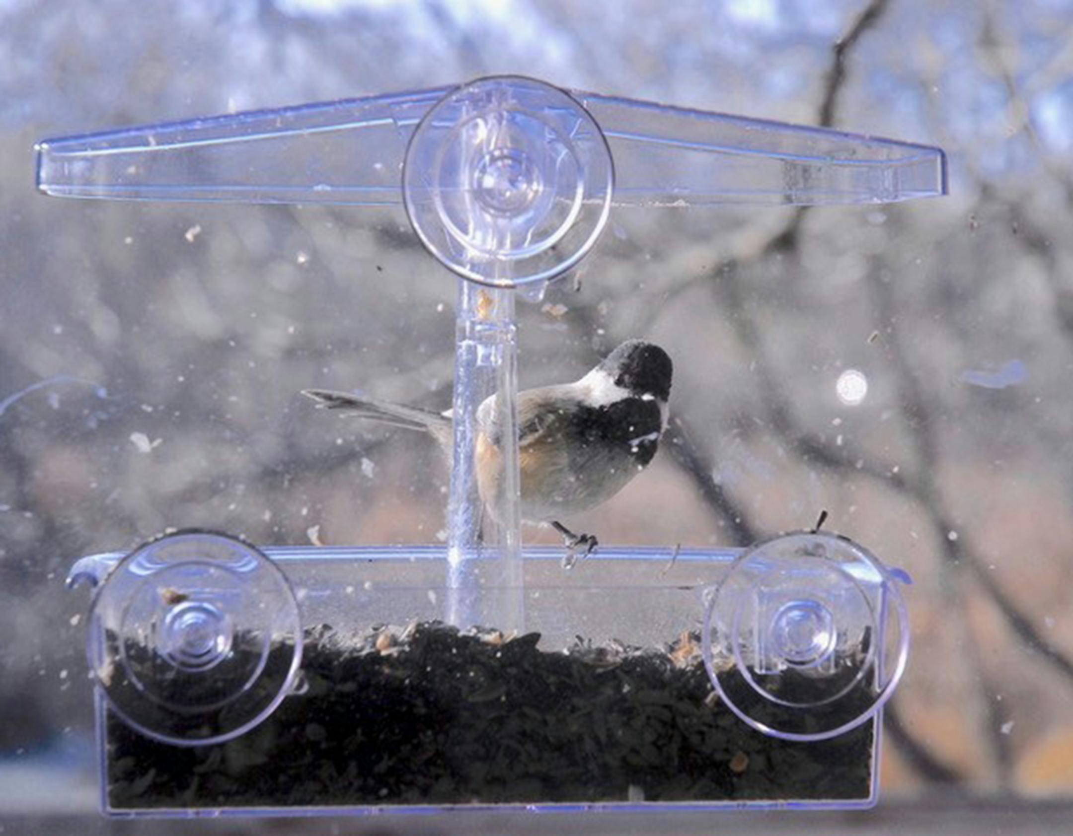 Black-capped chickadee at a feeder amid falling snow.