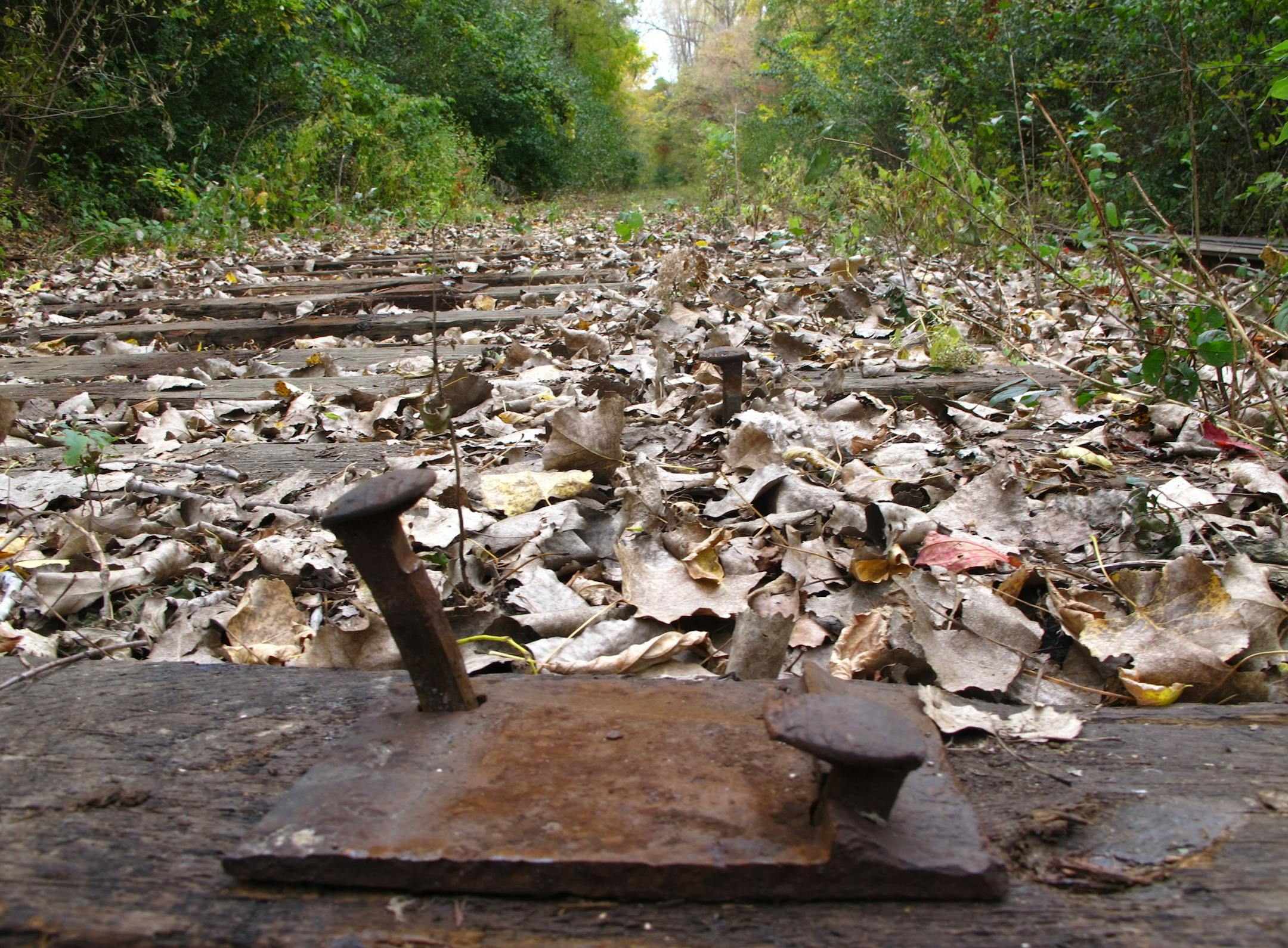 This is how the future Browns Creek State Trail looked last fall. Rails and ties from the Minnesota Zephyr dinner train days have been removed. Bridge work and paving of the 10-foot-wide trail come next.