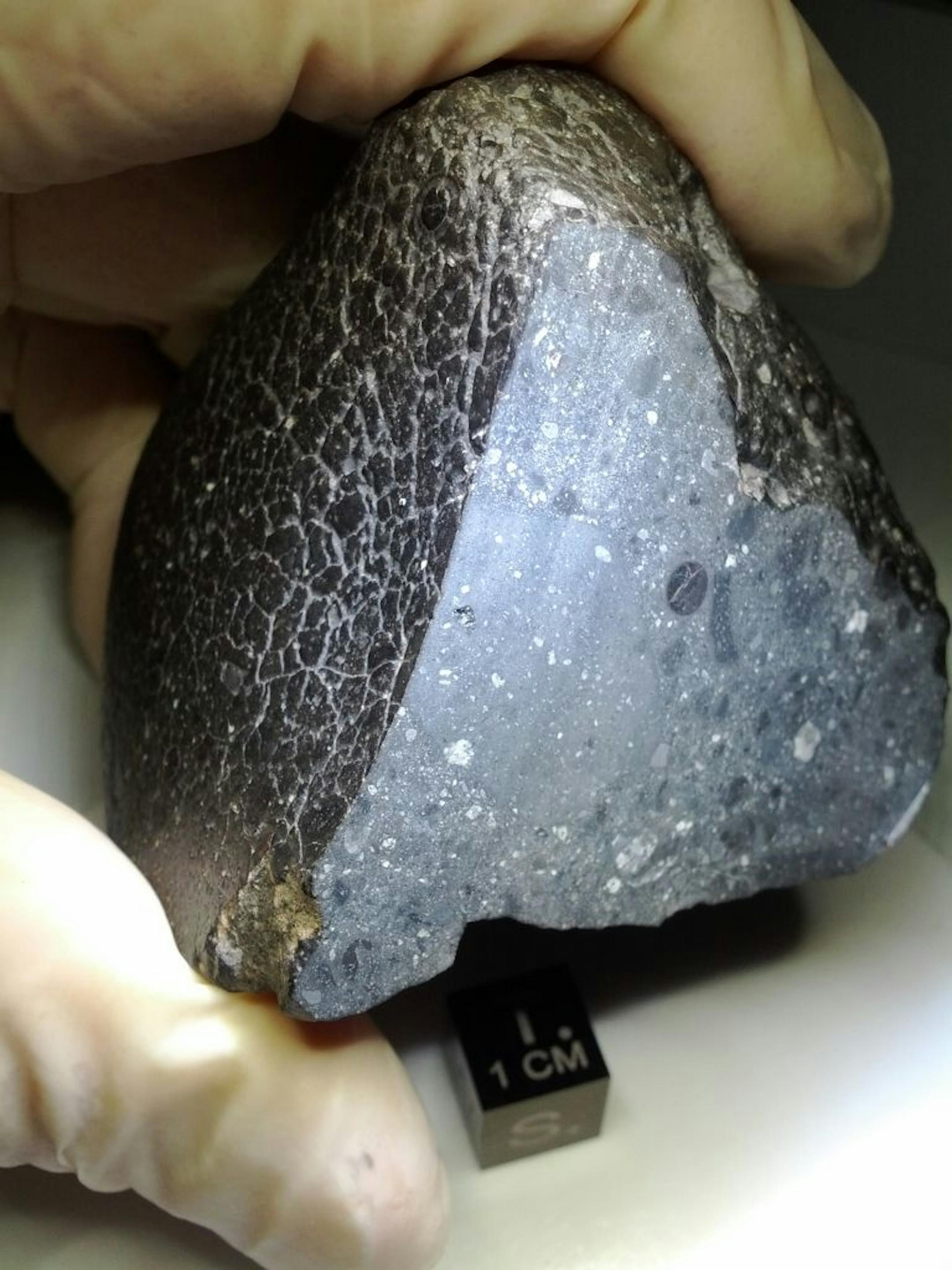 This image provided Carl Agee, University of New Mexico, shows a rock from Mars that landed in the Sahara Desert. An examination of the Martian meteorite known as NWA 7034 determined it is 2.1 billion years old and is water-rich.