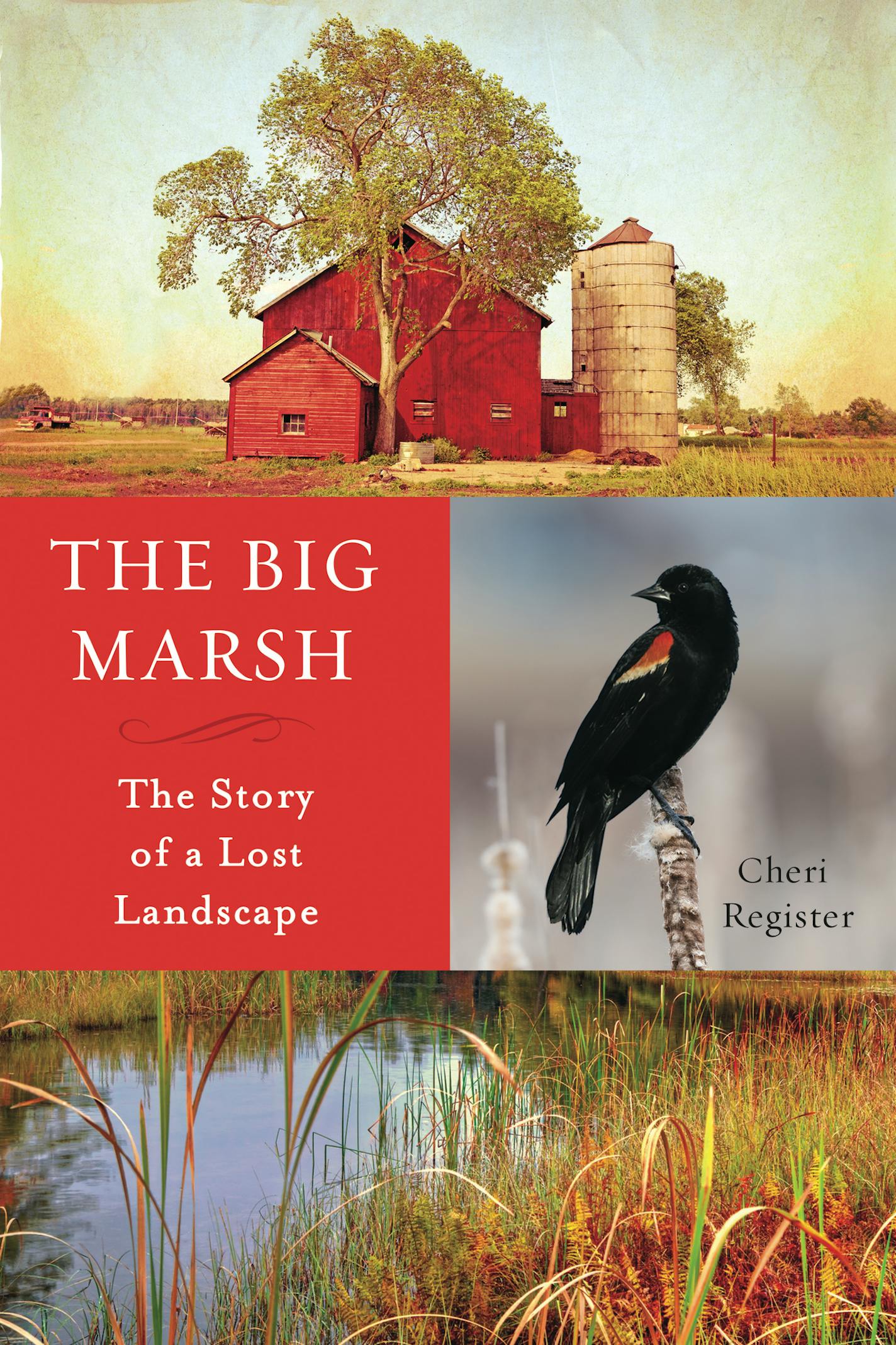 "The Big Marsh: The Story of a Lost Landscape," by Cheri Register