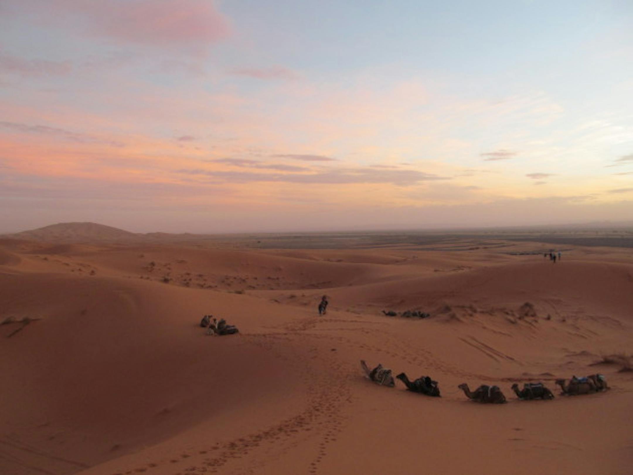 Sunrise in the Sahara