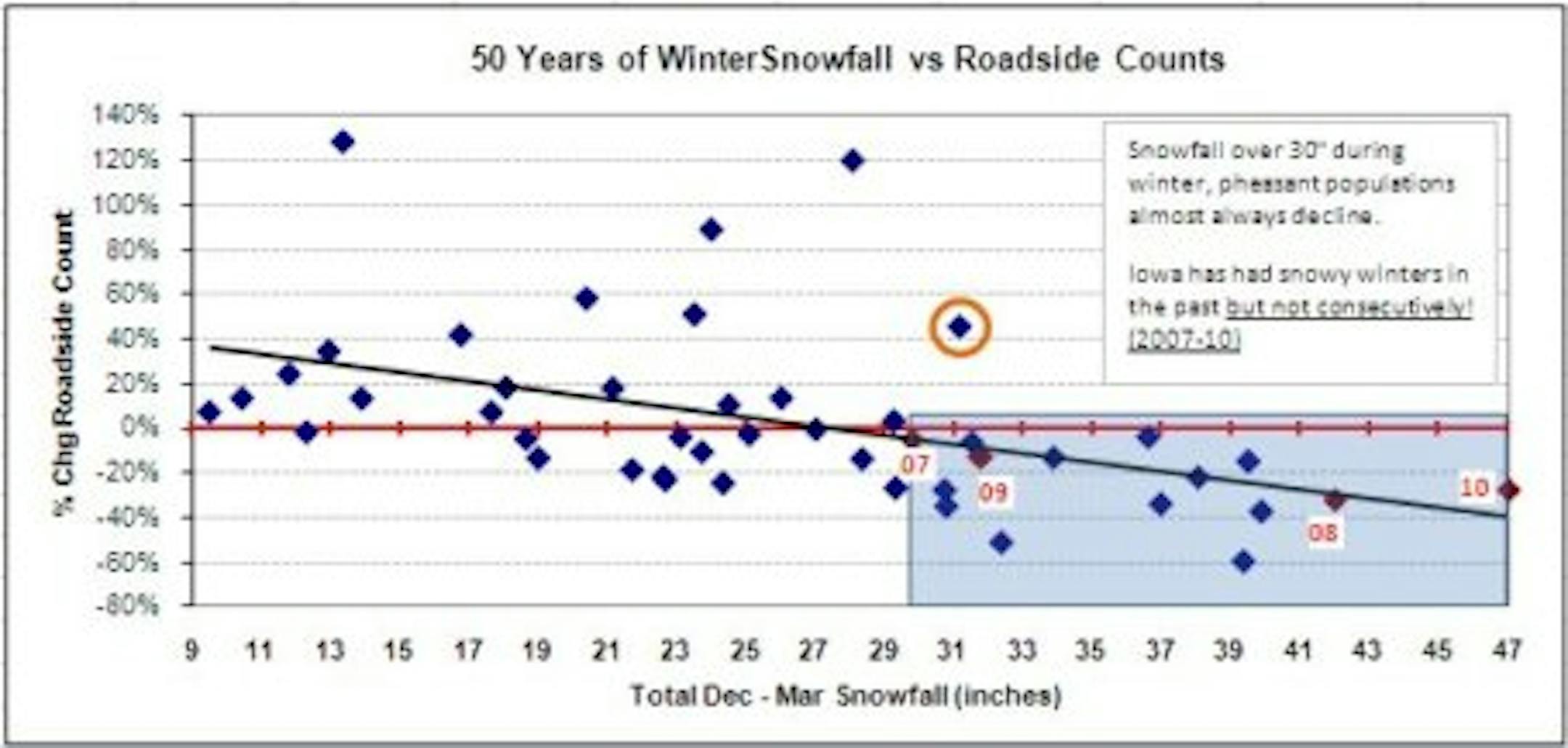 As this graph illustrates, Iowa pheasant counts have never increased following winters with more than 31" of snow.
