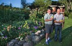 Reid Smith and LaWayne Leno walked in their garden with their exotic birds at their home on Tuesday, August 4, 2015 in Dellwood, Minn.