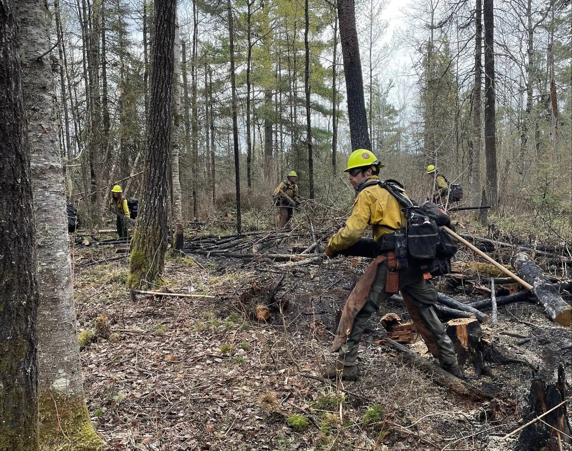 Forest Service: Superior wildfire that started with prescribed burn ...