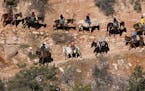 Mule riders begin their journey down the Bright Angel Trail on in the Grand Canyon en route to Phantom Ranch, more than 2,000-feet below the south rim