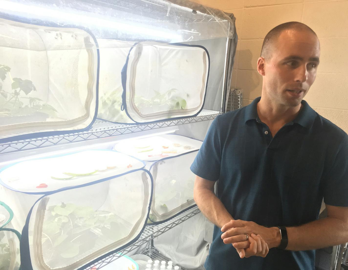 Bob Koch, an entomologist at the U of M Extension in St. Paul