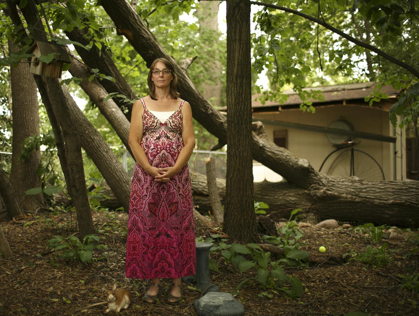 During Friday night's storm, a giant oak fell over and knocked over four other trees in Amy Beckham's Maple Grove backyard. The fence and a shed in the back yard were also damaged. Amy Beckham in her backyard Tuesday afternoon, June 25, 2013 with the fallen tree and damaged shed behind her and the trees that were also uprooted next to her. ] JEFF WHEELER &#x201a;&#xc4;&#xa2; jeff.wheeler@startribune.com