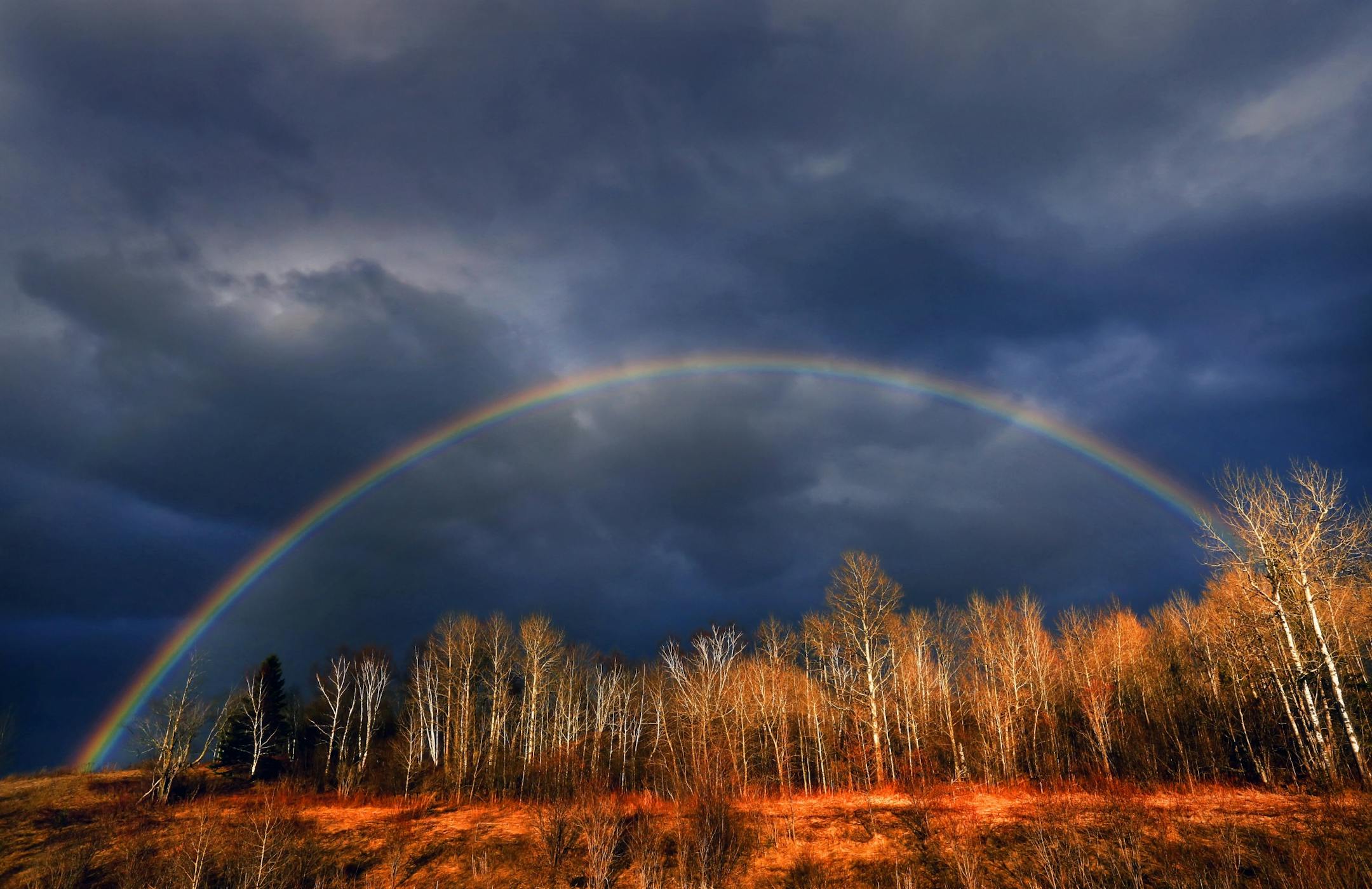 After a long winter with record breaking snowfall and before the first leave had popped, Minnesota's spring landscape was waiting for the spring showers and warmer weather to get things started.