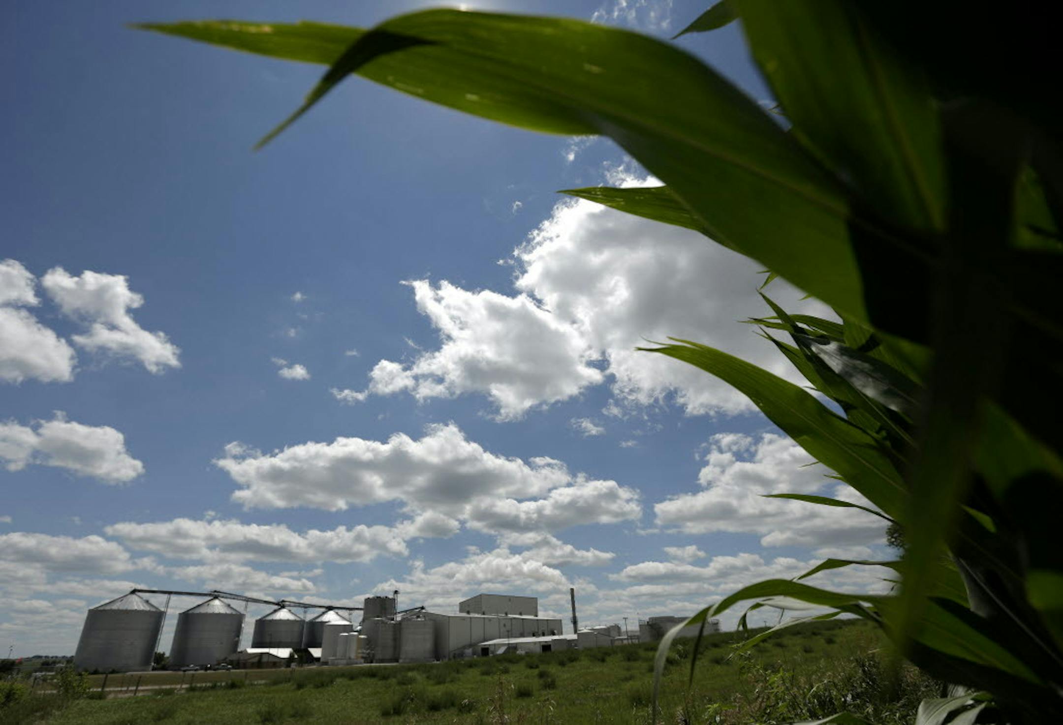 In this July 20, 2013 file photo, a plant that produces ethanol is next to a cornfield near Coon Rapids, Iowa.