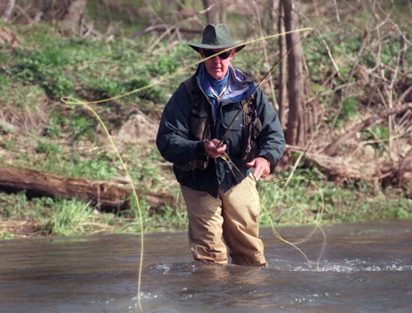 The trout opener at Forestville State Park. — Dick Hanousek of St. Paul fly fishes for trout at Forestville State Park.