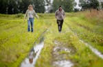 Lucia Possehl, left, with Sharing Our Roots, and co-op farmer Moffatt Odwere, right, analyze the damage to his crops due to recent and ongoing floodin