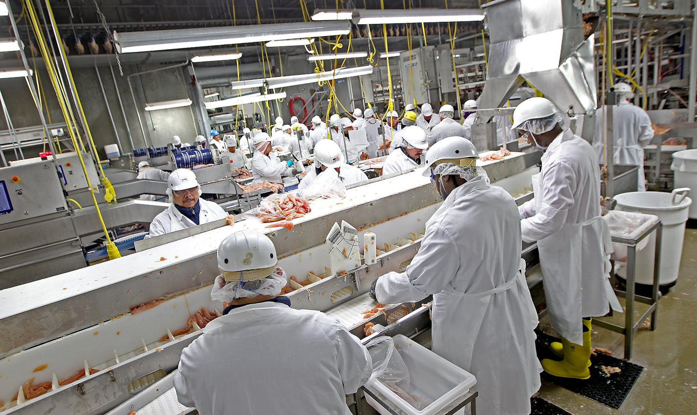 Production at the Gold'n Plump Poultry production facility.