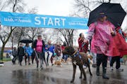 At last year’s Walk for the Animals, thousands of animal lovers, both with and without pets, strolled through the Minnesota State Fairgrounds.