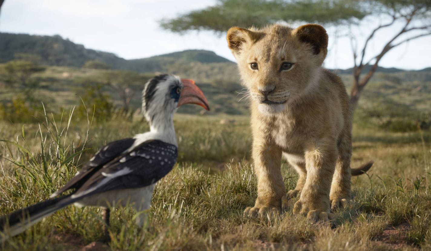 THE LION KING - Featuring the voices of John Oliver as Zazu, and JD McCrary as Young Simba, Disney&#x2019;s &#x201c;The Lion King&#x201d; is directed by Jon Favreau. In theaters July 29, 2019...&#xa9; 2019 Disney Enterprises, Inc. All Rights Reserved.