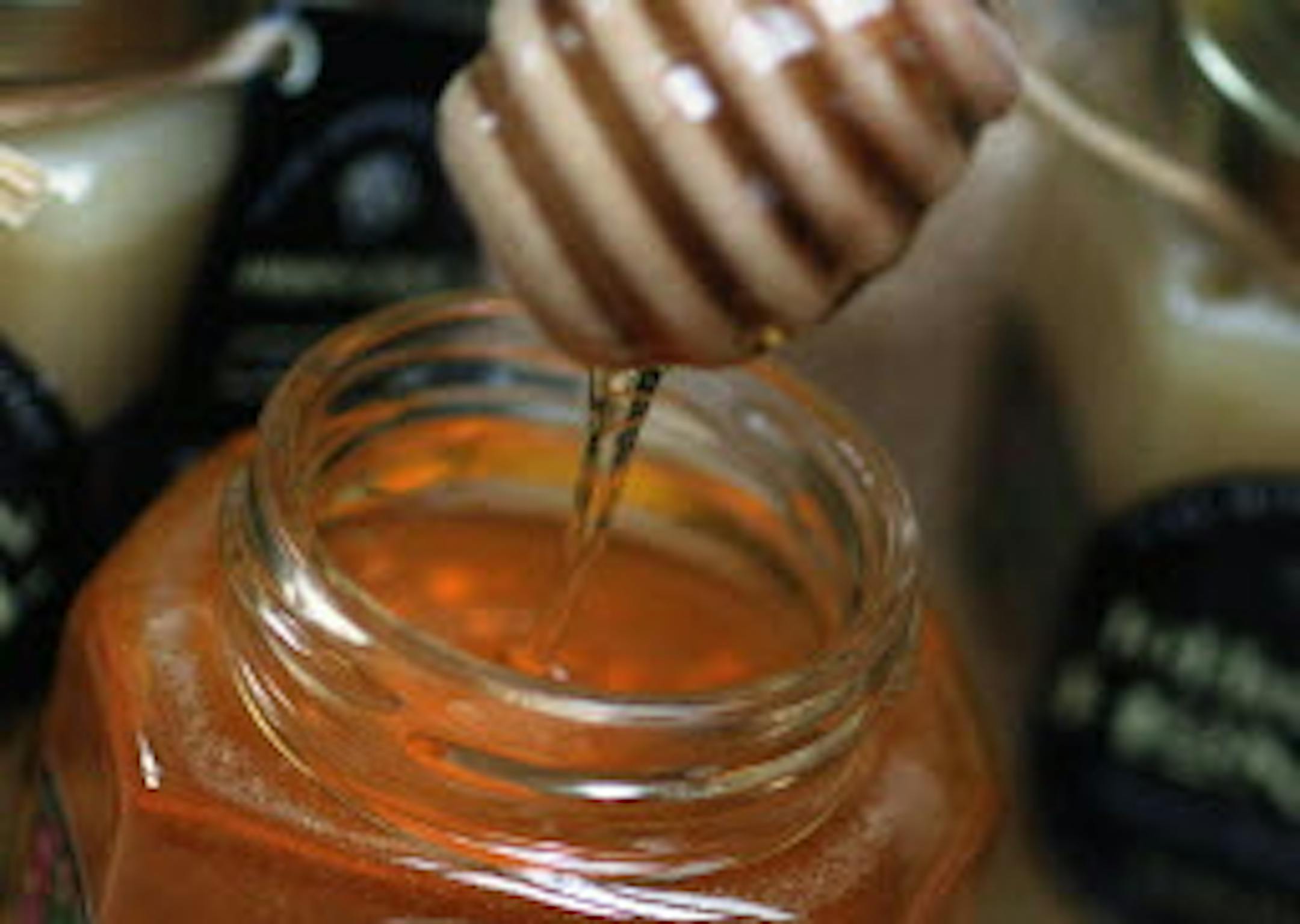 Photo by the Star Tribune