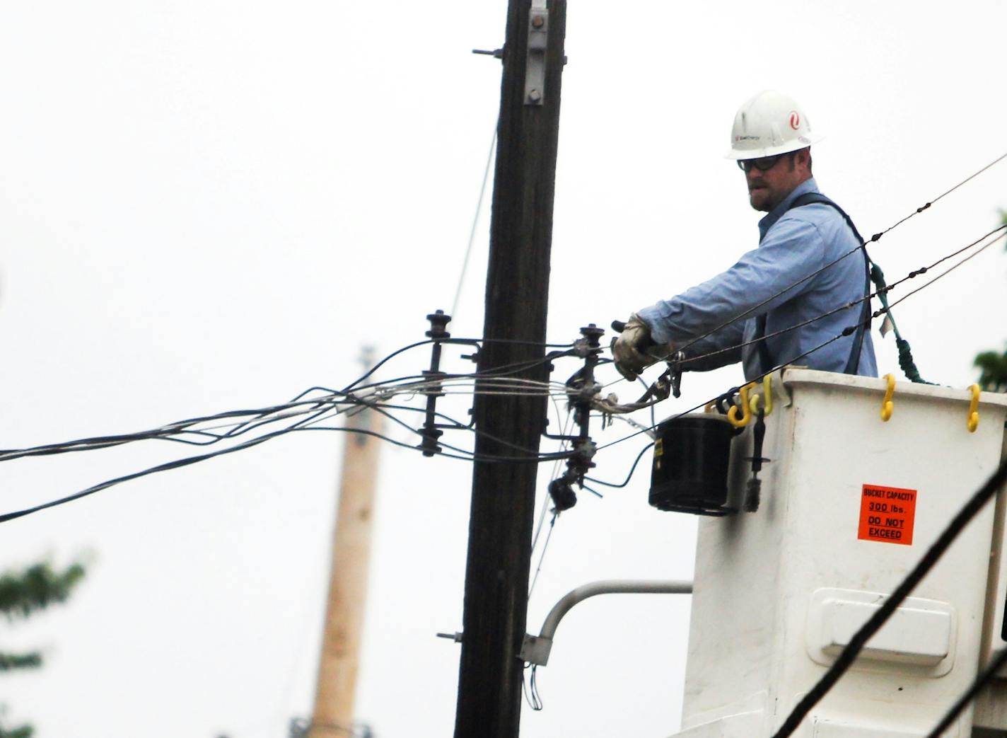 A utility worker assesses electrical power lines in south Minneapolis. (DAVID JOLES/STARTRIBUNE)