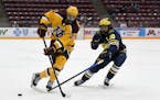 A goal by sophomore forward Blake McLaughlin (shown last season against Michigan) midway through the third period gave the Gophers a 4-3 comeback vict