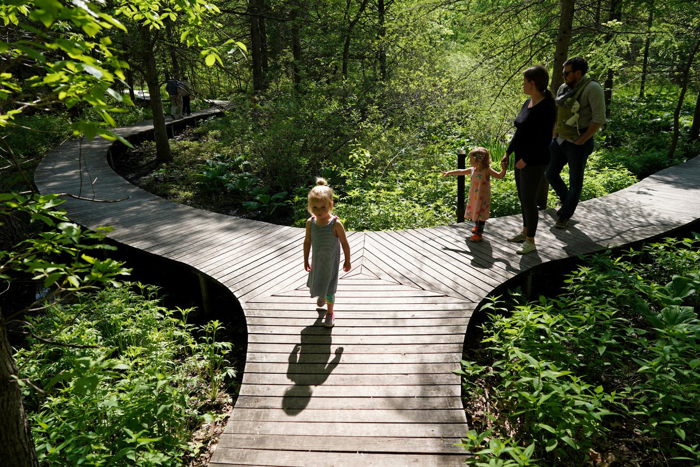 3-year-old Matilda Krieger led sister Jackie, 2 Mother Alyssa father Matt and 3-week-old brother Ivan down Lady Slipper Lane at Eloise Butler Wildflower Garden in Minneapolis. It was the first visit for the Krieger family to this urban oasis. ] Looking for a respite from the hustle and bustle without heading north? The Twin Cities is home to one of the best park systems in the nation and here are just a few of the urban sanctuaries that will help you get your nature fix. brian.peterson@startribu