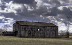 A derelict farm shelters the Mandible family in a Dystopian future. iStock
