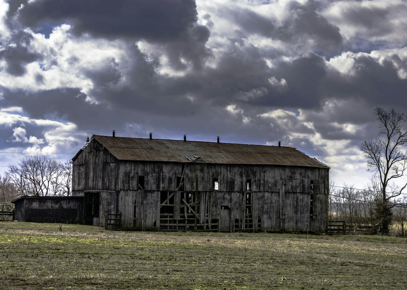 A derelict farm shelters the Mandible family in a Dystopian future. iStock