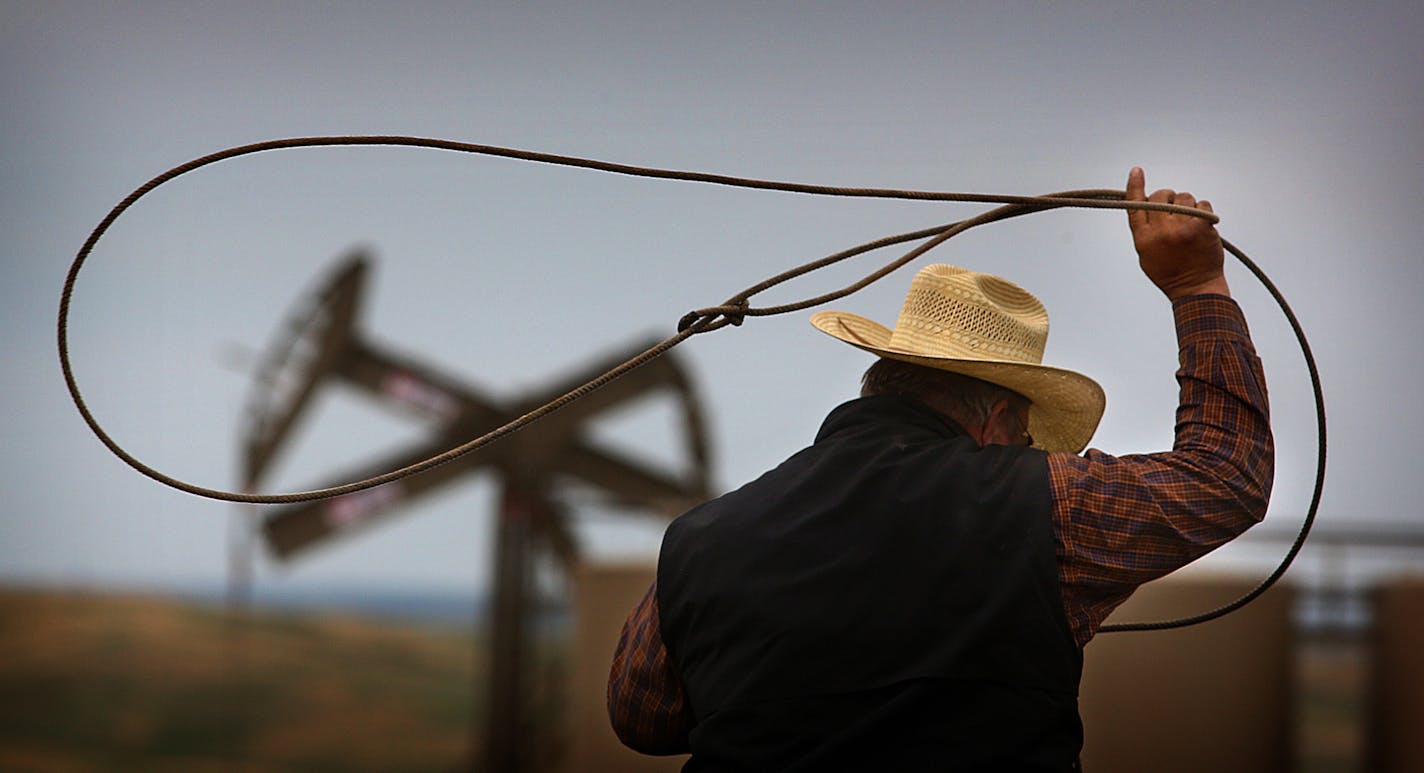 A pumpjack and storage tanks at a nearby oil pad loomed behind Milo Wisness as he helped to coral cattle for branding for neighbor Doug Olson near Keene, ND. ] (JIM GEHRZ/STAR TRIBUNE) / October 23, 2013, Keene, ND &#x201a;&#xc4;&#xec; BACKGROUND INFORMATION- PHOTOS FOR USE IN SECOND PART OF NORTH DAKOTA OIL BOOM PROJECT: Rounding up cattle and branding calves is a tradition handed down through generations of North Dakotans in the spring each year. Families take turns helping one another carry o