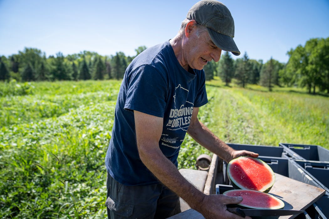 Jeff Nistler cut up a watermelon at his Nistler Farms in Maple Plain.