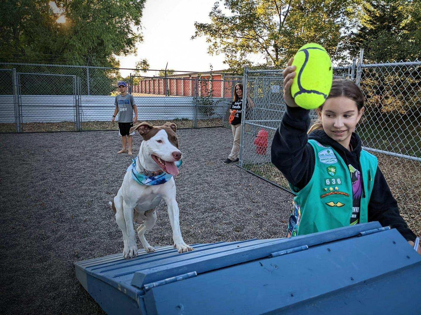 Dog ate girl outlet scout cookies