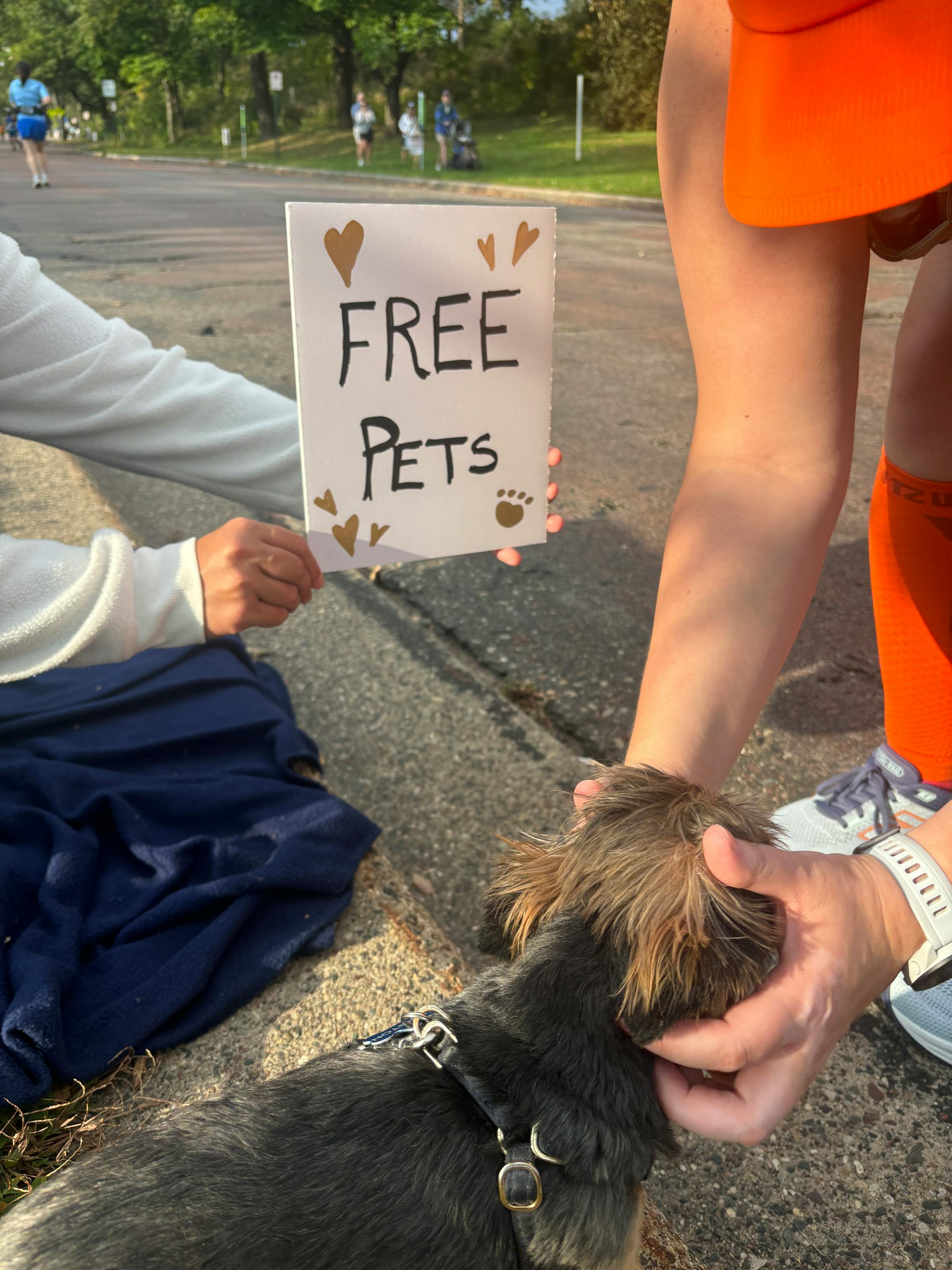 A dog receives a scratch in front of a sign reading "free pets."